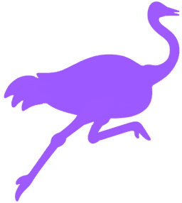 nostr logo